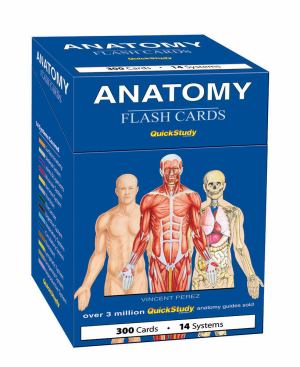 Anatomy Flash Cards (SKU 1050553366)