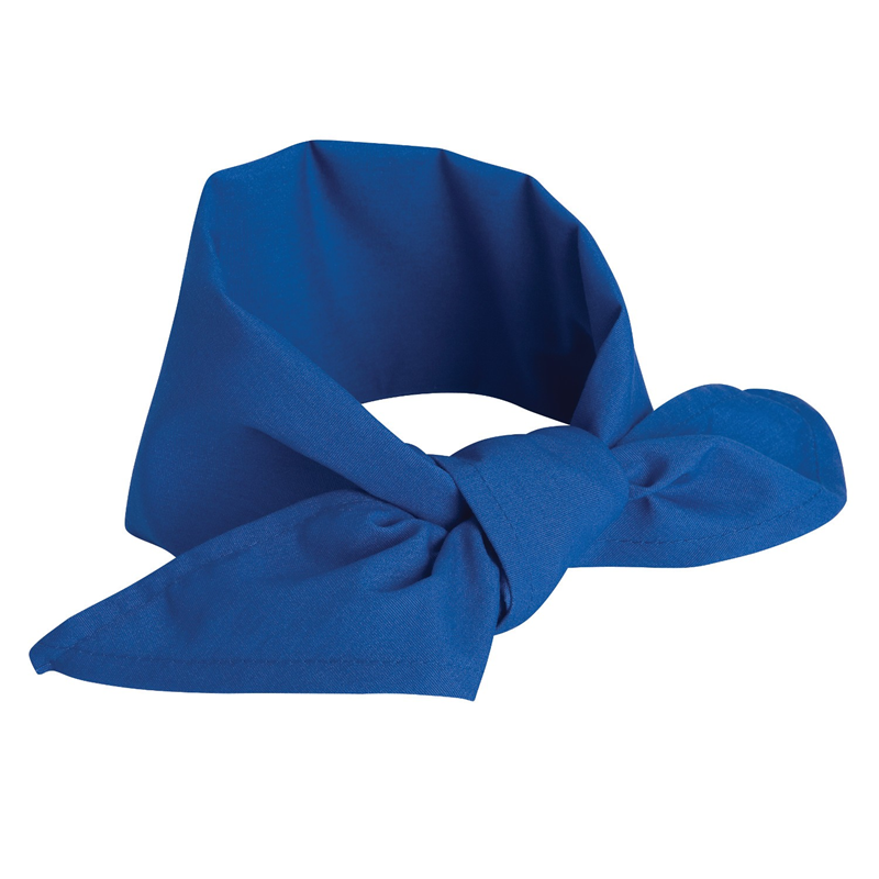 Blue Neckerchief (SKU 1028629610)