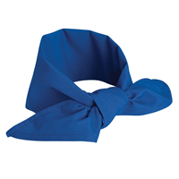 Blue Neckerchief