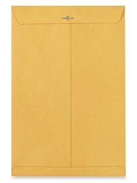 Kraft Casp Envelopes 10x15 10ct