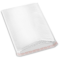 Bubble-Lined Mailer #5 10.5x16<br>CLC STAFF ONLY