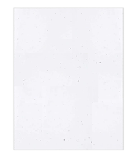 Staples Cardstock Paper, 110 lb, 8.5