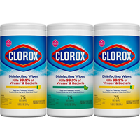 Clorox® Disinfecting Wipes Value Pack, 75 Count Each, Pack of 3