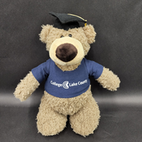Graduation Archie Bear