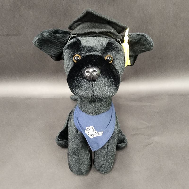 Graduation Plush Dog (SKU 1042754581)