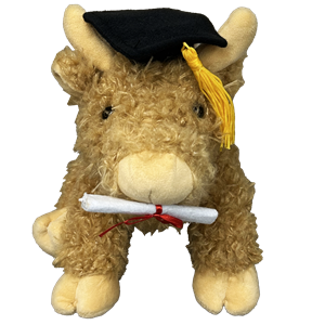Hennie Highland Cow Graduation Plush