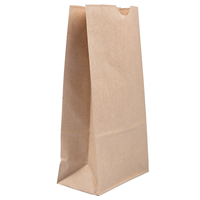 JAM Paper Kraft Lunch Bags, Medium, 9.75" x 5" x 3", White, 25/Pack