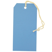JAM Paper® Gift Tags with String, Medium, 2 3/8 x 4 3/4, 100/pack