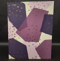 Mead Pastel Pattern 2 Pocket Folder