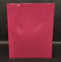 Plain Glossy Folder