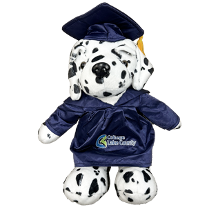 Stuffed Gradution