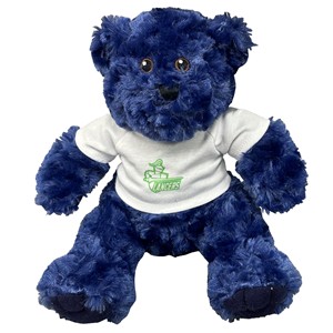 Traditional Bear With T-shirt