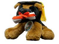 Plush Graduation Doggo